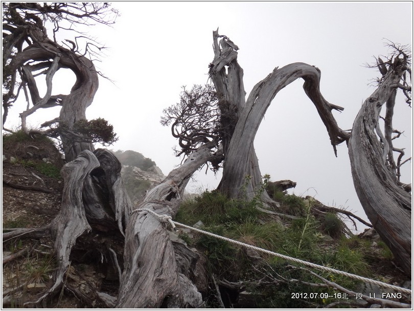 2012-07-11 13-24-15挺進五岩峰.JPG